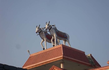 পানির ট্যাংক